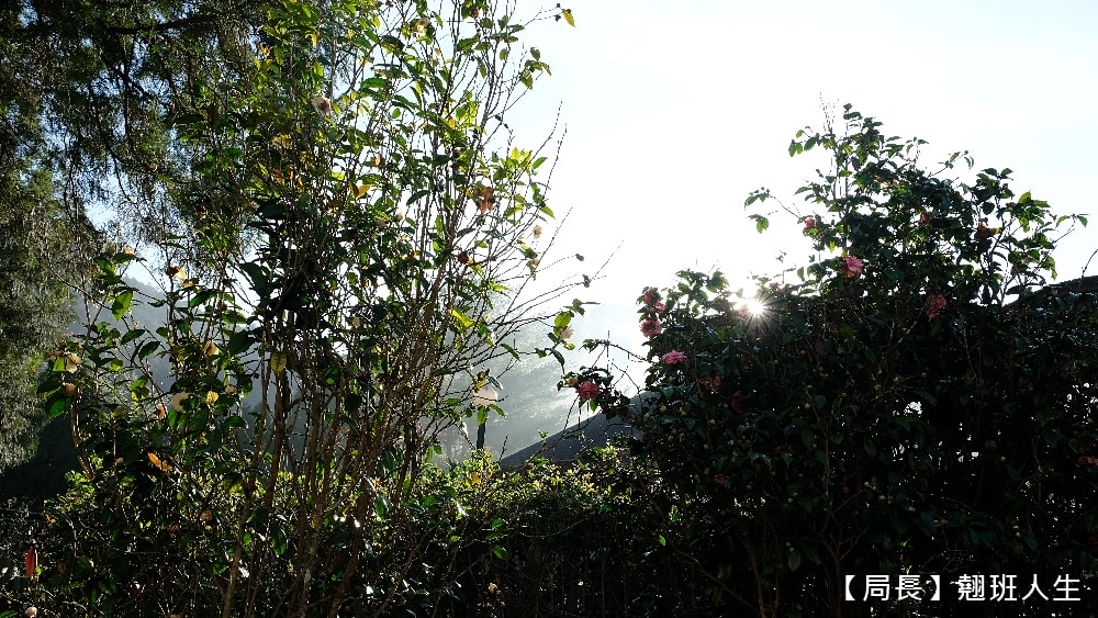 南投旅宿||日月潭御朝渡假村,坐擁整座山谷,南投賞螢火蟲勝地,手做環保脆皮紙箱雞,台灣檜木墅館呈現無可取代的台灣檜木精神 - 第25張圖 南投旅宿||日月潭御朝渡假村,坐擁整座山谷,南投賞螢火蟲勝地,手做環保脆皮紙箱雞,台灣檜木墅館呈現無可取代的台灣檜木精神
