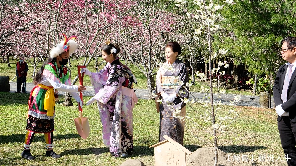 南投旅遊美食賞櫻||九族櫻花祭與櫻花女王有約，與春天有約-櫻花饗艷，滿滿的浪漫滿滿的美味。