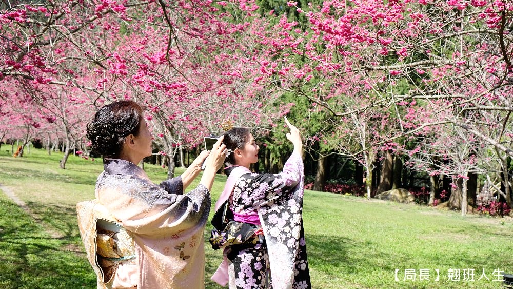 南投旅遊美食賞櫻||九族櫻花祭與櫻花女王有約,與春天有約-櫻花饗艷,滿滿的浪漫滿滿的美味。 - 第11張圖 南投旅遊美食賞櫻||九族櫻花祭與櫻花女王有約,與春天有約-櫻花饗艷,滿滿的浪漫滿滿的美味。