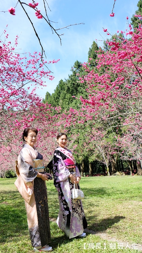 南投旅遊美食賞櫻||九族櫻花祭與櫻花女王有約,與春天有約-櫻花饗艷,滿滿的浪漫滿滿的美味。 - 第14張圖 南投旅遊美食賞櫻||九族櫻花祭與櫻花女王有約,與春天有約-櫻花饗艷,滿滿的浪漫滿滿的美味。