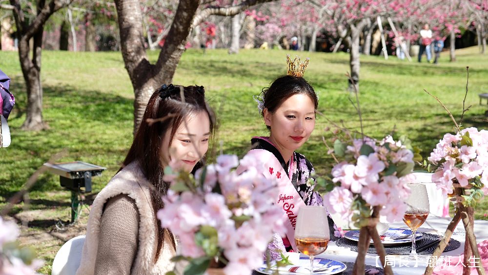 南投旅遊美食賞櫻||九族櫻花祭與櫻花女王有約,與春天有約-櫻花饗艷,滿滿的浪漫滿滿的美味。 - 第25張圖 南投旅遊美食賞櫻||九族櫻花祭與櫻花女王有約,與春天有約-櫻花饗艷,滿滿的浪漫滿滿的美味。