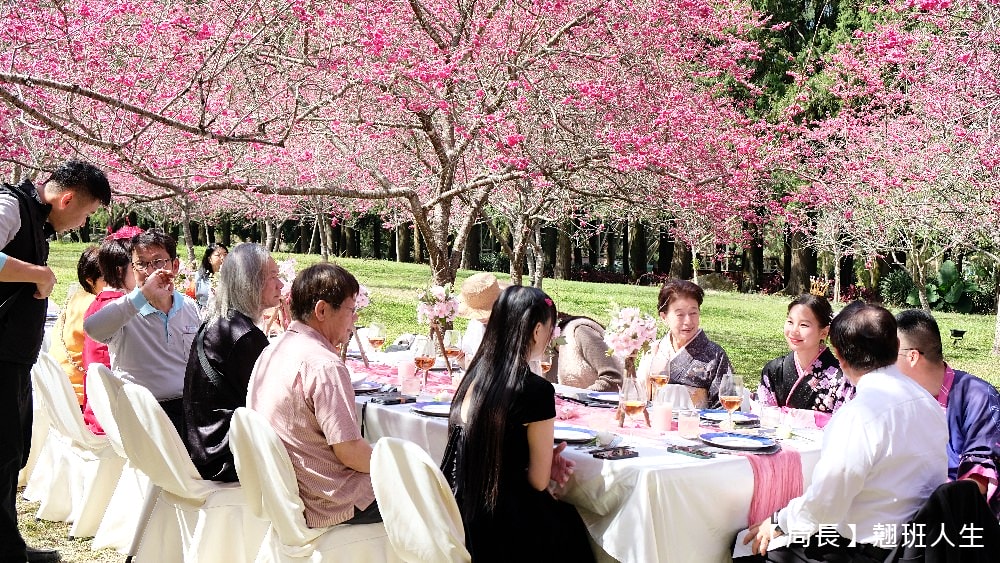 南投旅遊美食賞櫻||九族櫻花祭與櫻花女王有約,與春天有約-櫻花饗艷,滿滿的浪漫滿滿的美味。 - 第26張圖 南投旅遊美食賞櫻||九族櫻花祭與櫻花女王有約,與春天有約-櫻花饗艷,滿滿的浪漫滿滿的美味。