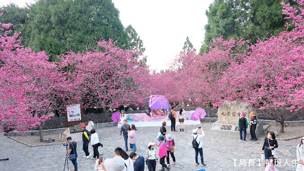 南投旅遊美食賞櫻||九族櫻花祭與櫻花女王有約,與春天有約-櫻花饗艷,滿滿的浪漫滿滿的美味。 - 第2張圖 南投旅遊美食賞櫻||九族櫻花祭與櫻花女王有約,與春天有約-櫻花饗艷,滿滿的浪漫滿滿的美味。