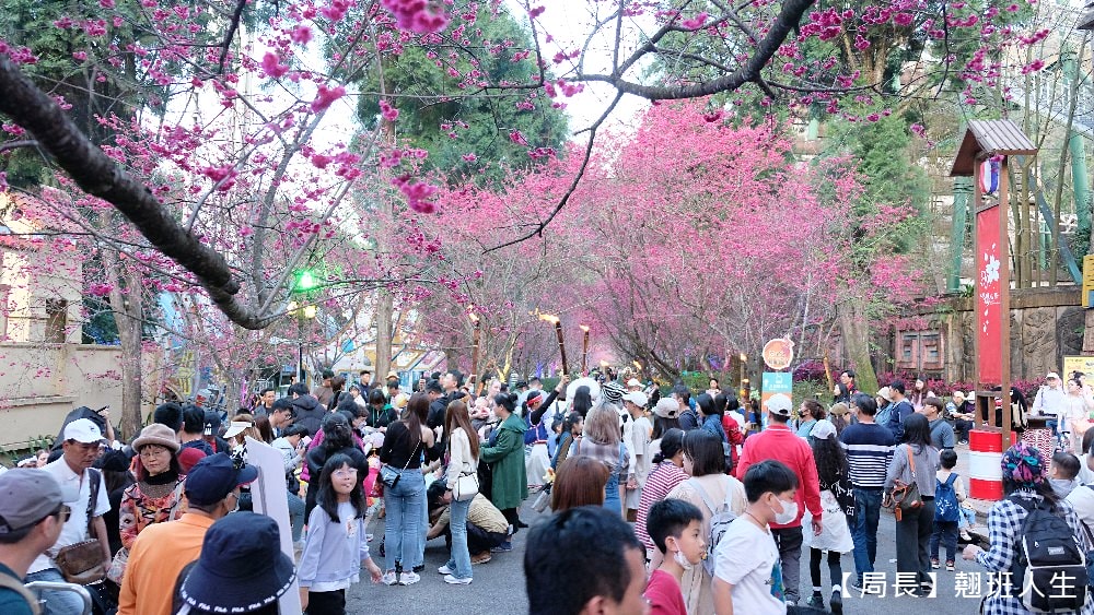 南投旅遊美食賞櫻||九族櫻花祭與櫻花女王有約,與春天有約-櫻花饗艷,滿滿的浪漫滿滿的美味。 - 第61張圖 南投旅遊美食賞櫻||九族櫻花祭與櫻花女王有約,與春天有約-櫻花饗艷,滿滿的浪漫滿滿的美味。