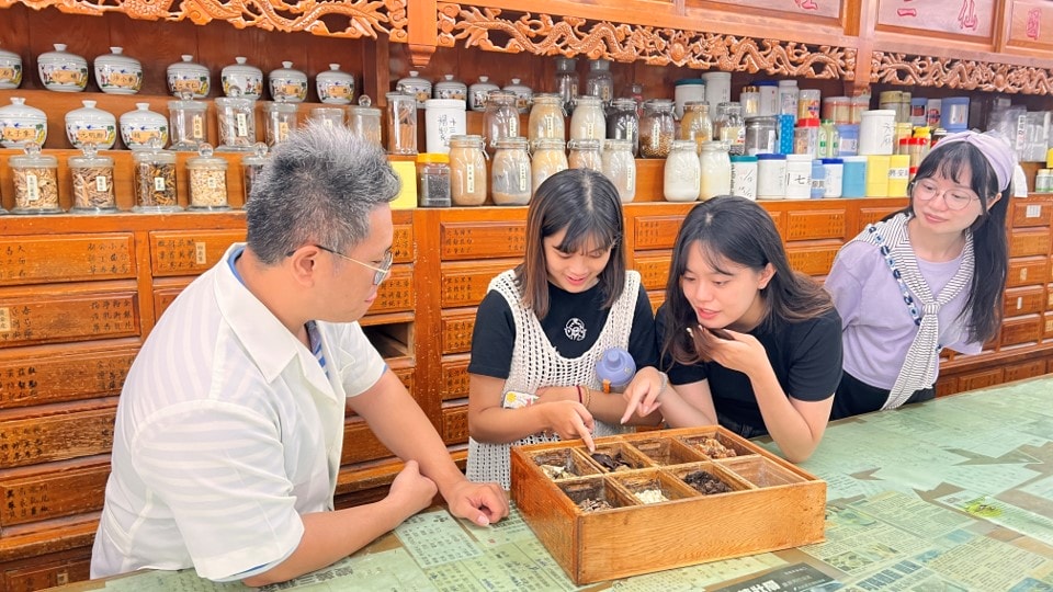 中醫藥概論(上)中藥實習